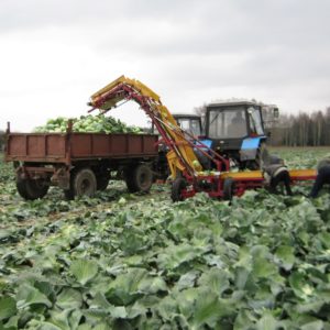 Транспортер - погрузчик универсальный ТПУ
